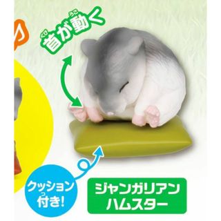 【ジャンガリアンハムスター】 カプセルアニア ちいさなおせわ動物編2(その他)