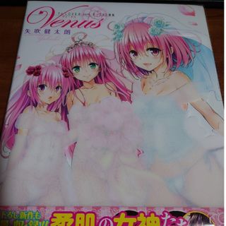 シュウエイシャ(集英社)のToLOVEる-とらぶる-ダークネス画集 Venus ヴィーナス(イラスト集/原画集)