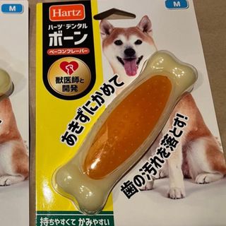 デンタルボーン(犬)