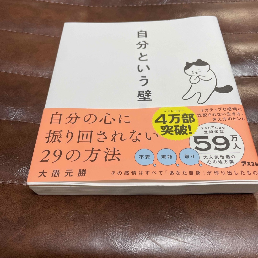 自分という壁　自分の心に振り回されない２９の方法 エンタメ/ホビーの本(その他)の商品写真