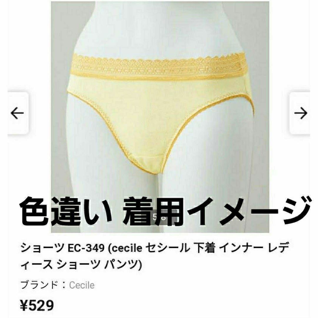 新品 L  2枚組 綿95% ドット柄ショーツ 水玉 レディースの下着/アンダーウェア(ショーツ)の商品写真