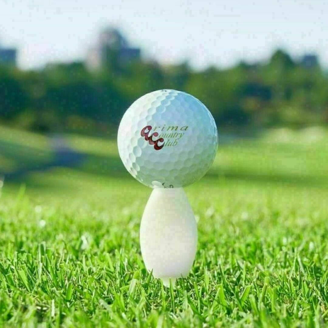 10本 パリティー 日本製 ゴルフ ティー グリーンフォーク スポーツ/アウトドアのゴルフ(その他)の商品写真