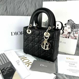 クリスチャンディオール(Christian Dior)の早い者勝ディディオール ハンドバックw実物撮影(その他)