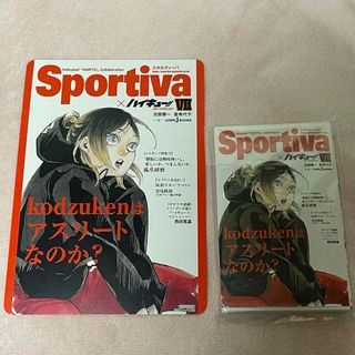 ハイキュー ショーセツバン Sportiva　7巻　特典　ビジュアルボード　研磨