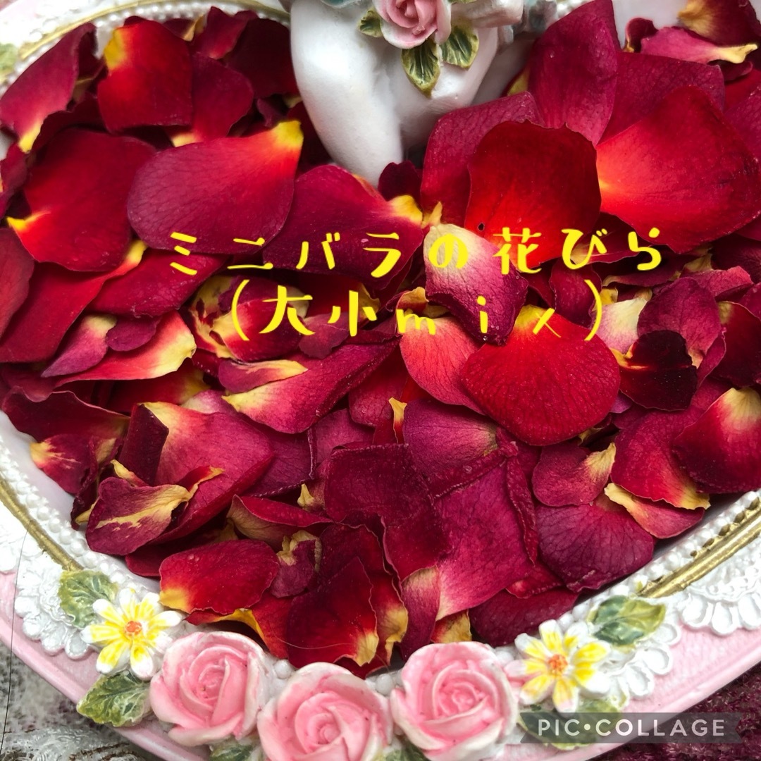 ミニ薔薇の花びら(大小mix )セット★3g→3.5gに増量中★ドライフラワー★