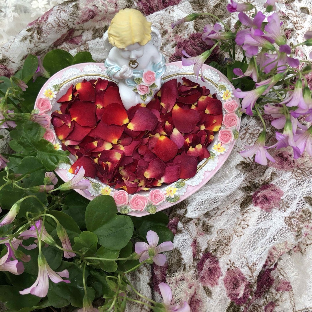 ミニ薔薇の花びら(大小mix )セット★3g→3.5gに増量中★ドライフラワー★