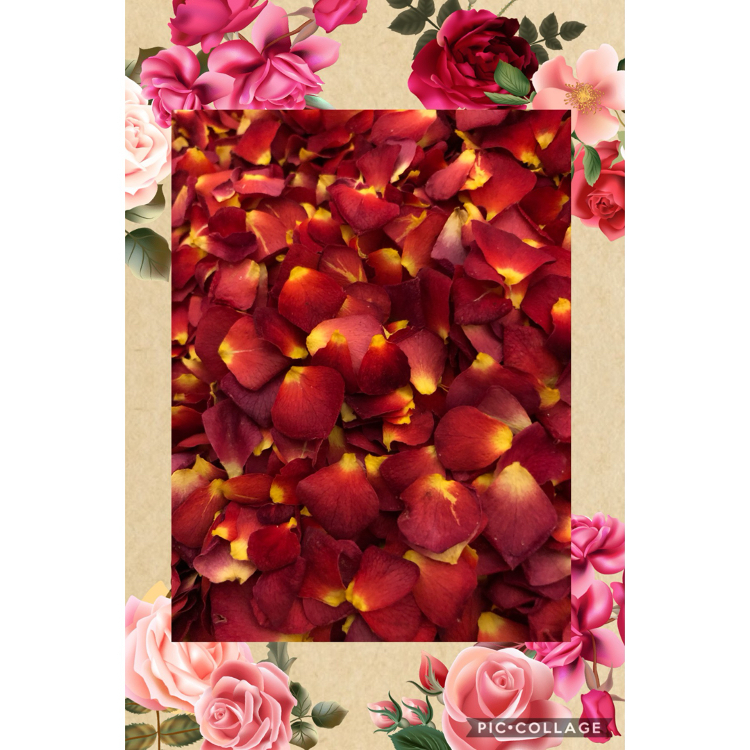ミニ薔薇の花びら(大小mix )セット★3g→3.5gに増量中★ドライフラワー★