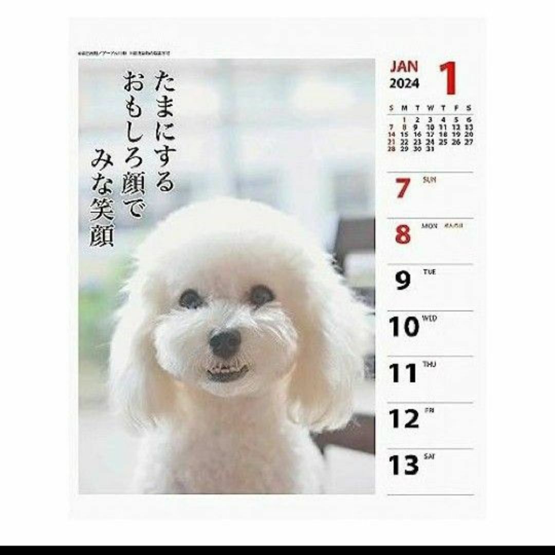 2024年犬川柳（週めくり）カレンダープードル　卓上カレンダー インテリア/住まい/日用品の文房具(カレンダー/スケジュール)の商品写真