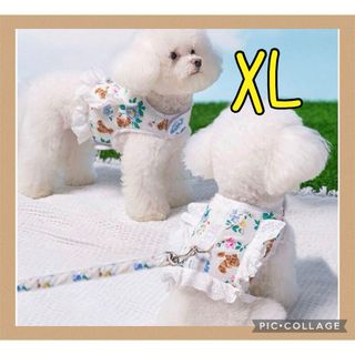 ♥️ハーネスXL♥️ 犬服XL　くまお花　メッシュ　リードレースフリル可愛い首輪(犬)