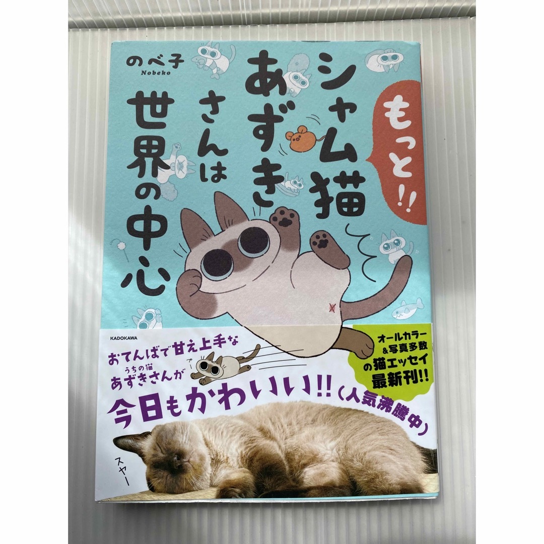 もっと！！シャム猫あずきさんは世界の中心 エンタメ/ホビーの漫画(その他)の商品写真