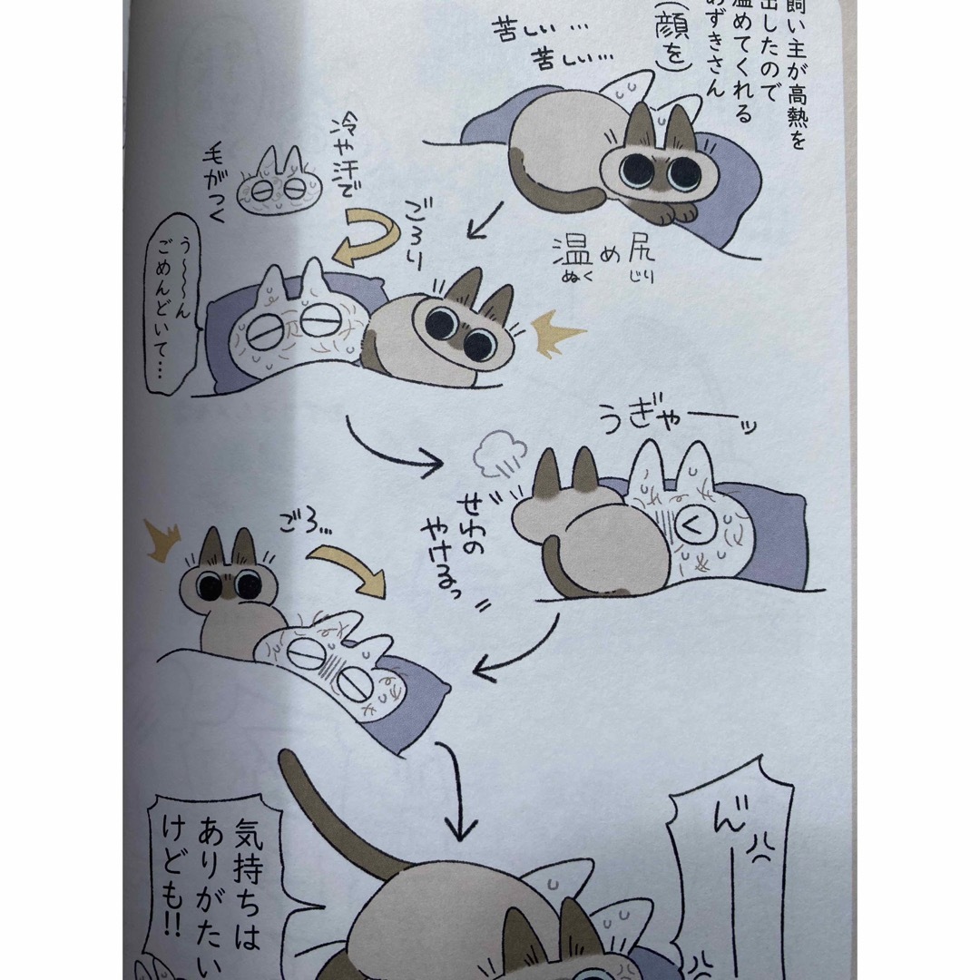 もっと！！シャム猫あずきさんは世界の中心 エンタメ/ホビーの漫画(その他)の商品写真