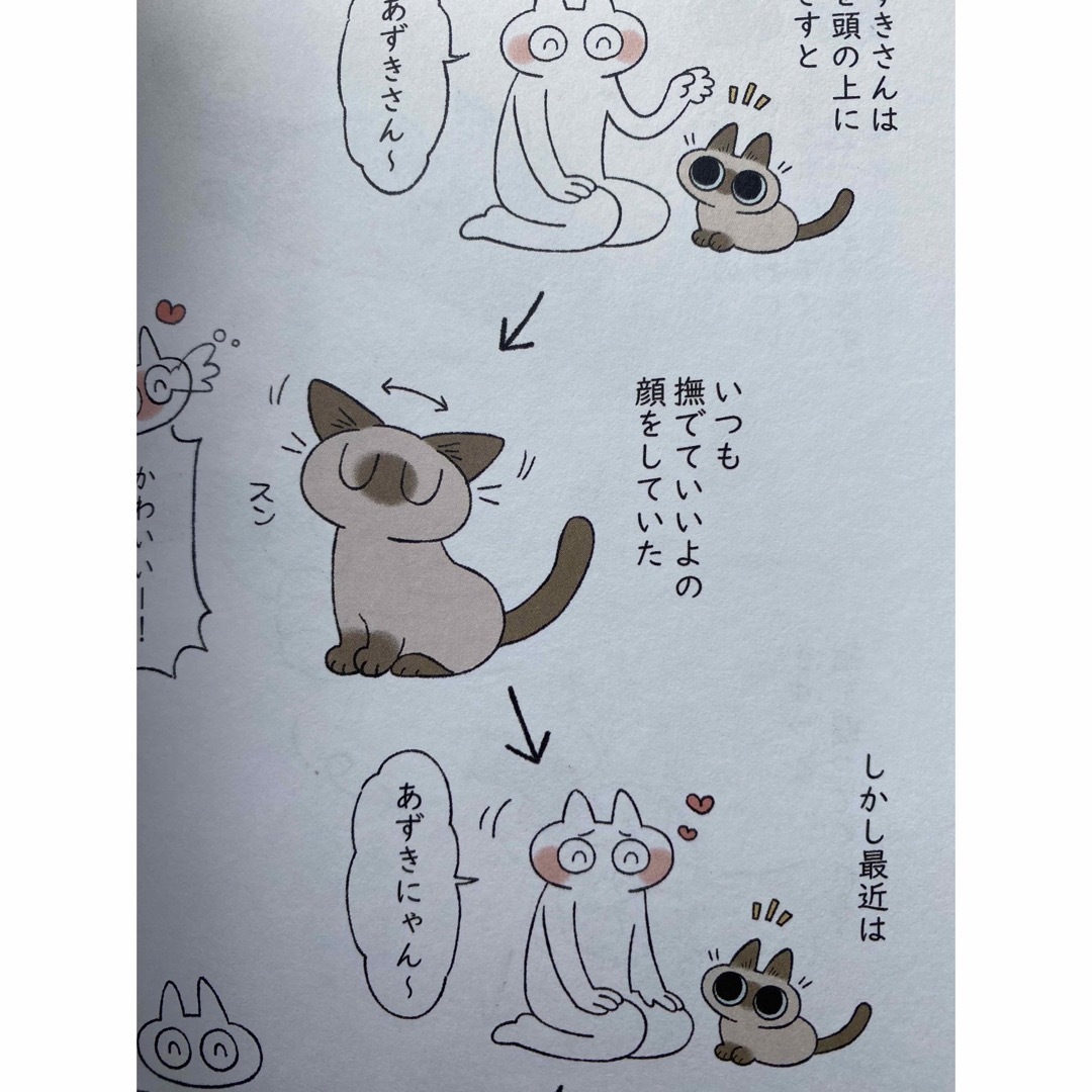 もっと！！シャム猫あずきさんは世界の中心 エンタメ/ホビーの漫画(その他)の商品写真