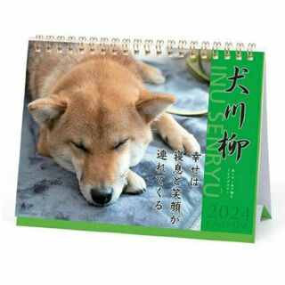 2024年犬川柳　卓上カレンダー　柴犬(カレンダー/スケジュール)