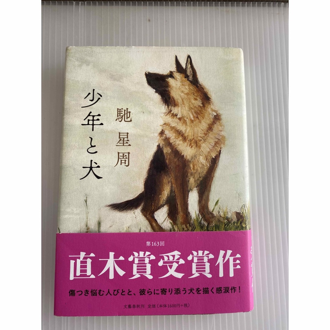 少年と犬 エンタメ/ホビーの本(その他)の商品写真
