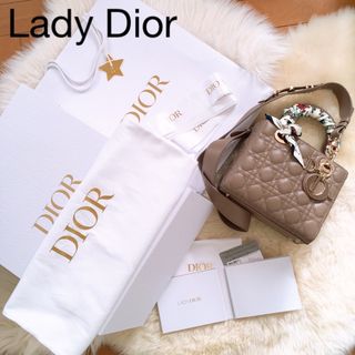 クリスチャンディオール(Christian Dior)のDIOR レディーディオール バック(ハンドバッグ)