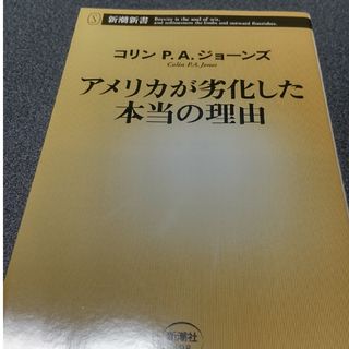 アメリカが劣化した本当の理由(その他)