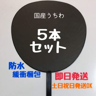 国産 ジャンボうちわ 黒 (艶なし) 無地 5本セット(その他)