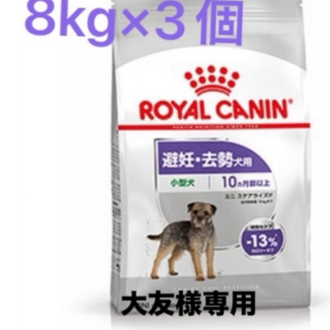 ROYAL CANIN(ロイヤルカナン)の大友様専用　ロイヤルカナンミニステアライズド8kg ×3個 その他のペット用品(ペットフード)の商品写真