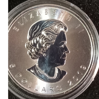 カナダ メイプルリーフ1オンス銀貨 未使用2019年正規購入品純銀地金銀貨　1枚(金属工芸)