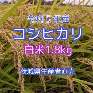 令和5年産　コシヒカリ　1.８kg　白米　１等米　茨城県生産者直売　☆送料無料☆(米/穀物)