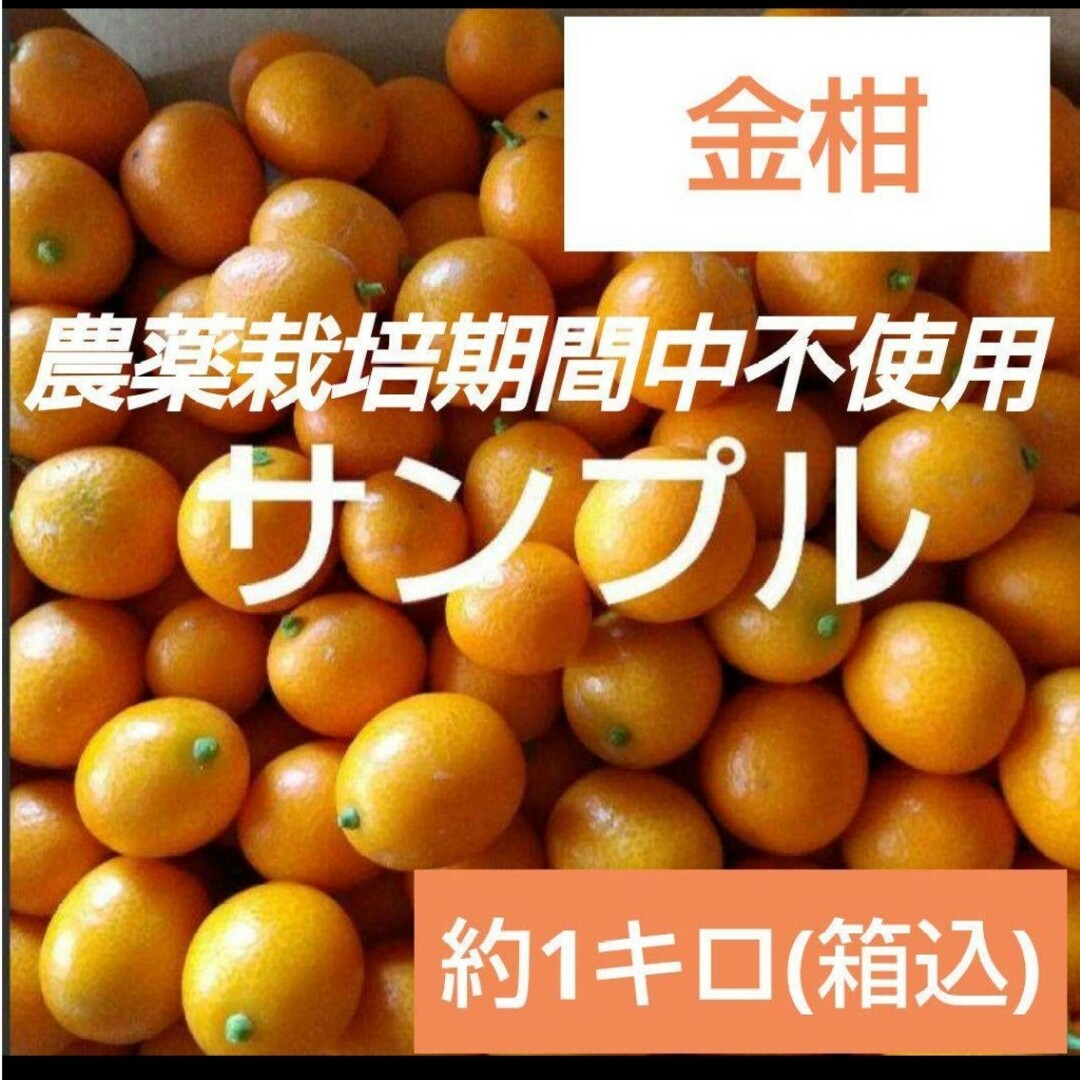11 農薬栽培期間中不使用 金柑 キンカン 約1キロ 食品/飲料/酒の食品(フルーツ)の商品写真