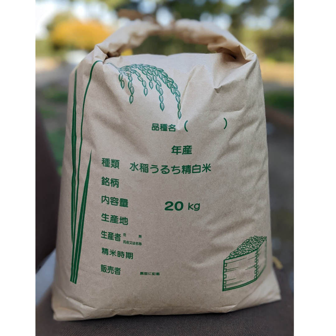 令和５年産　コシヒカリ　20kg　１等米　生産者直売　☆精米無料・送料無料☆ 食品/飲料/酒の食品(米/穀物)の商品写真