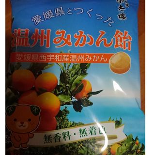 榮太樓總本鋪 愛媛県とつくった温州みかん飴 80g(菓子/デザート)