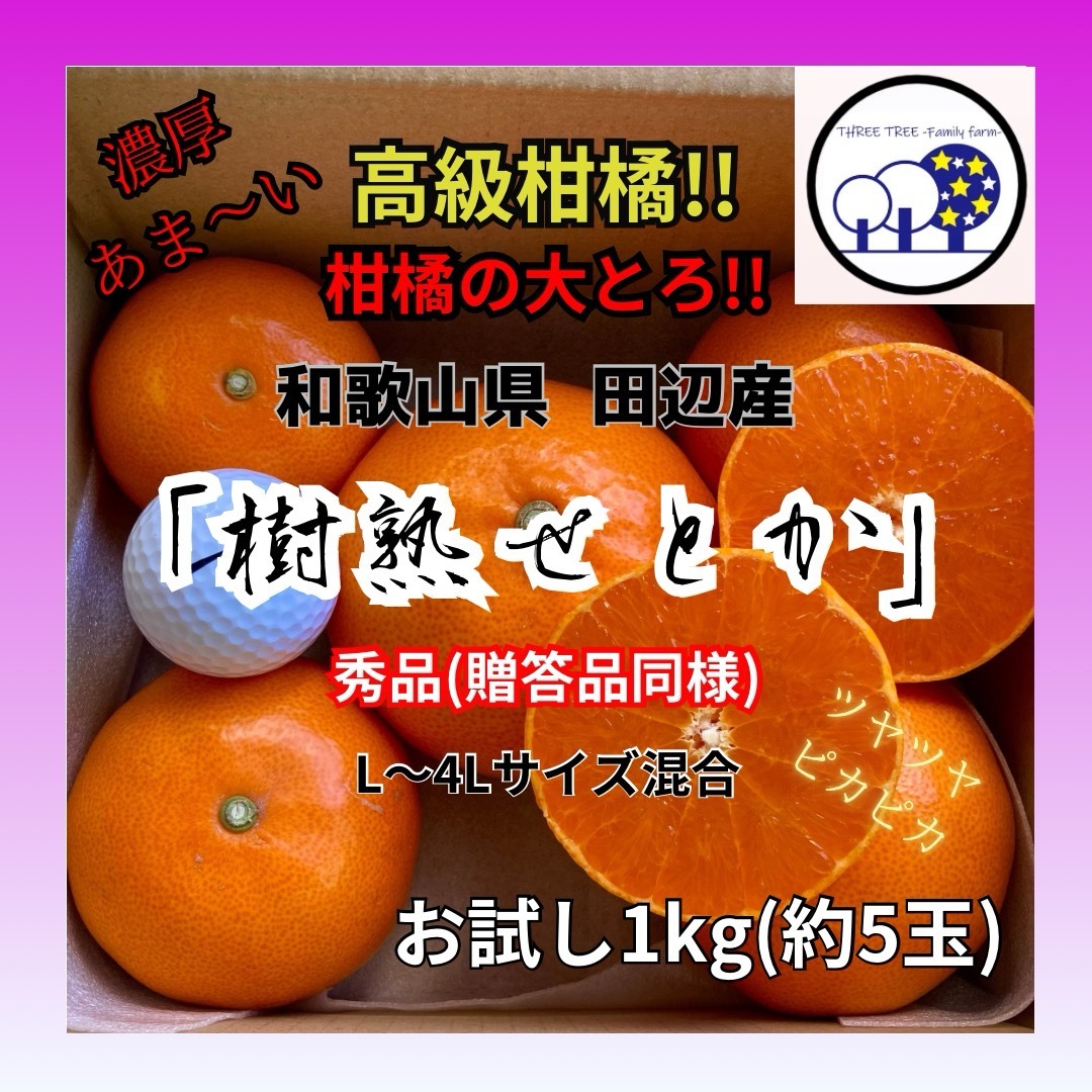 ①数量限定!和歌山県田辺産 せとか オレンジ みかん 蜜柑 秀品お試し1kg 食品/飲料/酒の食品(フルーツ)の商品写真