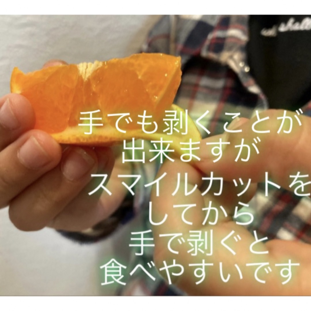 ①数量限定!和歌山県田辺産 せとか オレンジ みかん 蜜柑 秀品お試し1kg 食品/飲料/酒の食品(フルーツ)の商品写真