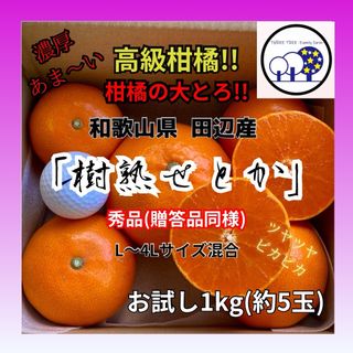 ①数量限定!和歌山県田辺産 せとか オレンジ みかん 蜜柑 秀品お試し1kg(フルーツ)