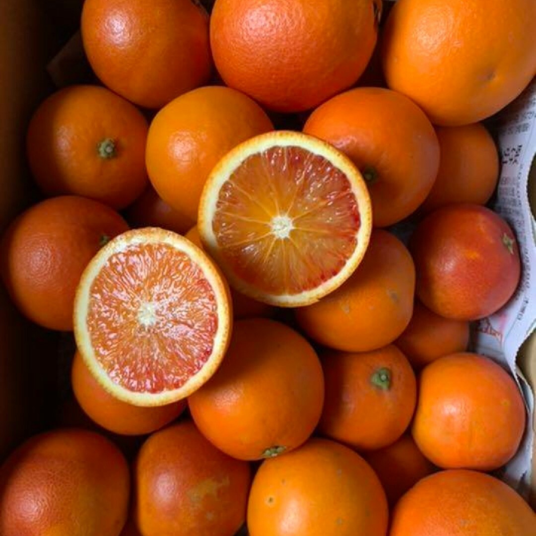 愛媛原産　ブラッドオレンジ　箱込み約4㎏　タロッコ　柑橘　ミカン 食品/飲料/酒の食品(フルーツ)の商品写真