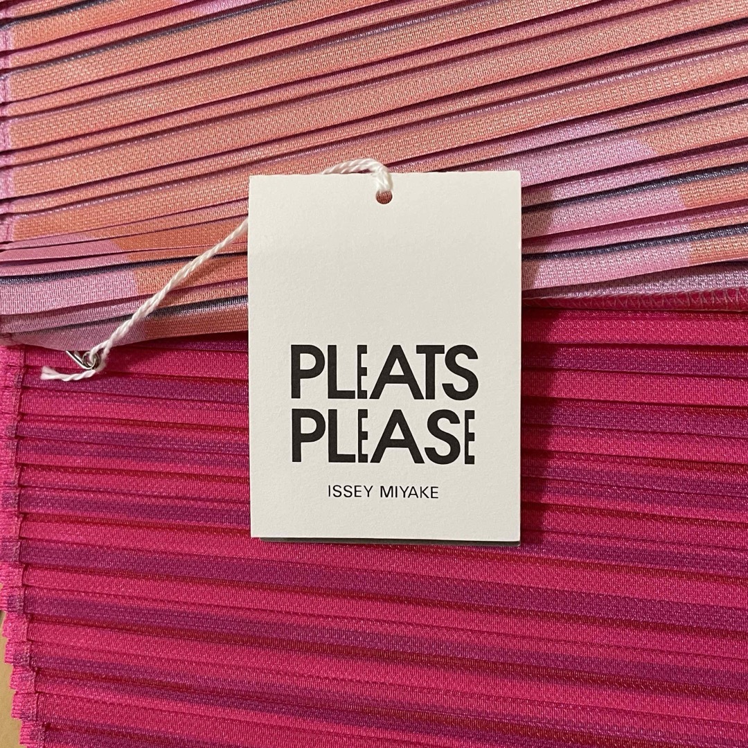 PLEATS PLEASE ISSEY MIYAKE(プリーツプリーズイッセイミヤケ)の新品タグ付き　プリーツプリーズ　VEGE MIX1   横段プリーツトップス レディースのトップス(カットソー(半袖/袖なし))の商品写真