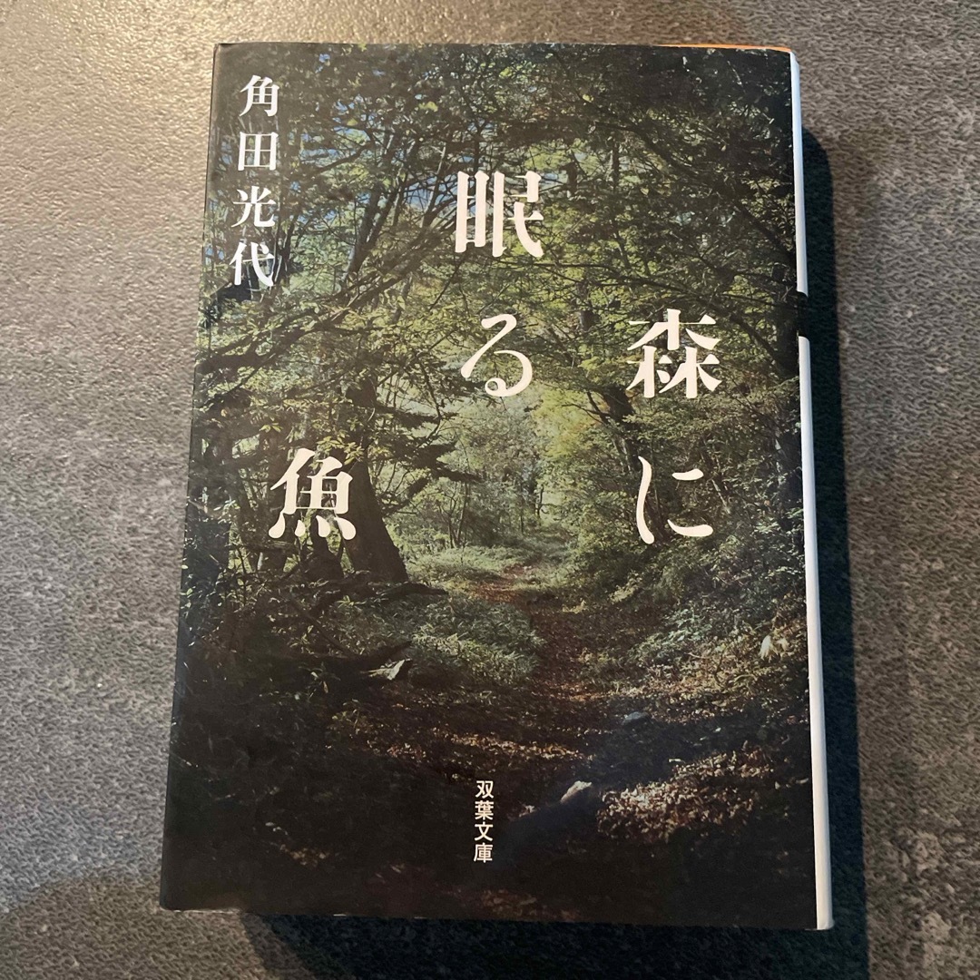 双葉社(フタバシャ)の森に眠る魚　角田光代　小説　 エンタメ/ホビーの本(その他)の商品写真