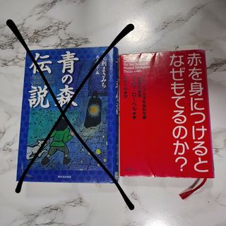 赤を身につけるとなぜもてるのか？(人文/社会)