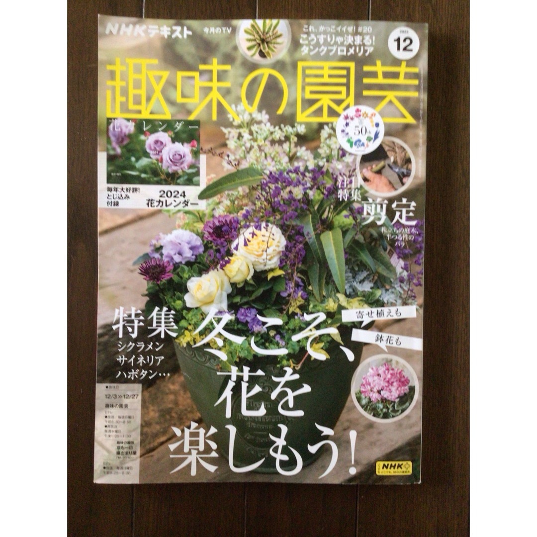 趣味の園芸　2023年12月 エンタメ/ホビーの雑誌(趣味/スポーツ)の商品写真