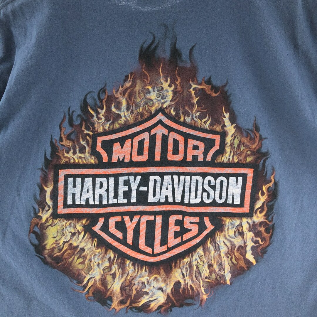 Harley Davidson(ハーレーダビッドソン)の古着 90~00年代 ハーレーダビッドソン Harley-Davidson 鷲柄 イーグル柄 両面プリント モーターサイクル バイクTシャツ メンズL /eaa381938 メンズのトップス(Tシャツ/カットソー(半袖/袖なし))の商品写真