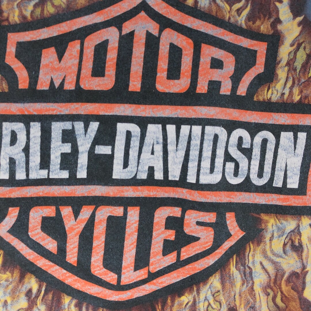 Harley Davidson(ハーレーダビッドソン)の古着 90~00年代 ハーレーダビッドソン Harley-Davidson 鷲柄 イーグル柄 両面プリント モーターサイクル バイクTシャツ メンズL /eaa381938 メンズのトップス(Tシャツ/カットソー(半袖/袖なし))の商品写真