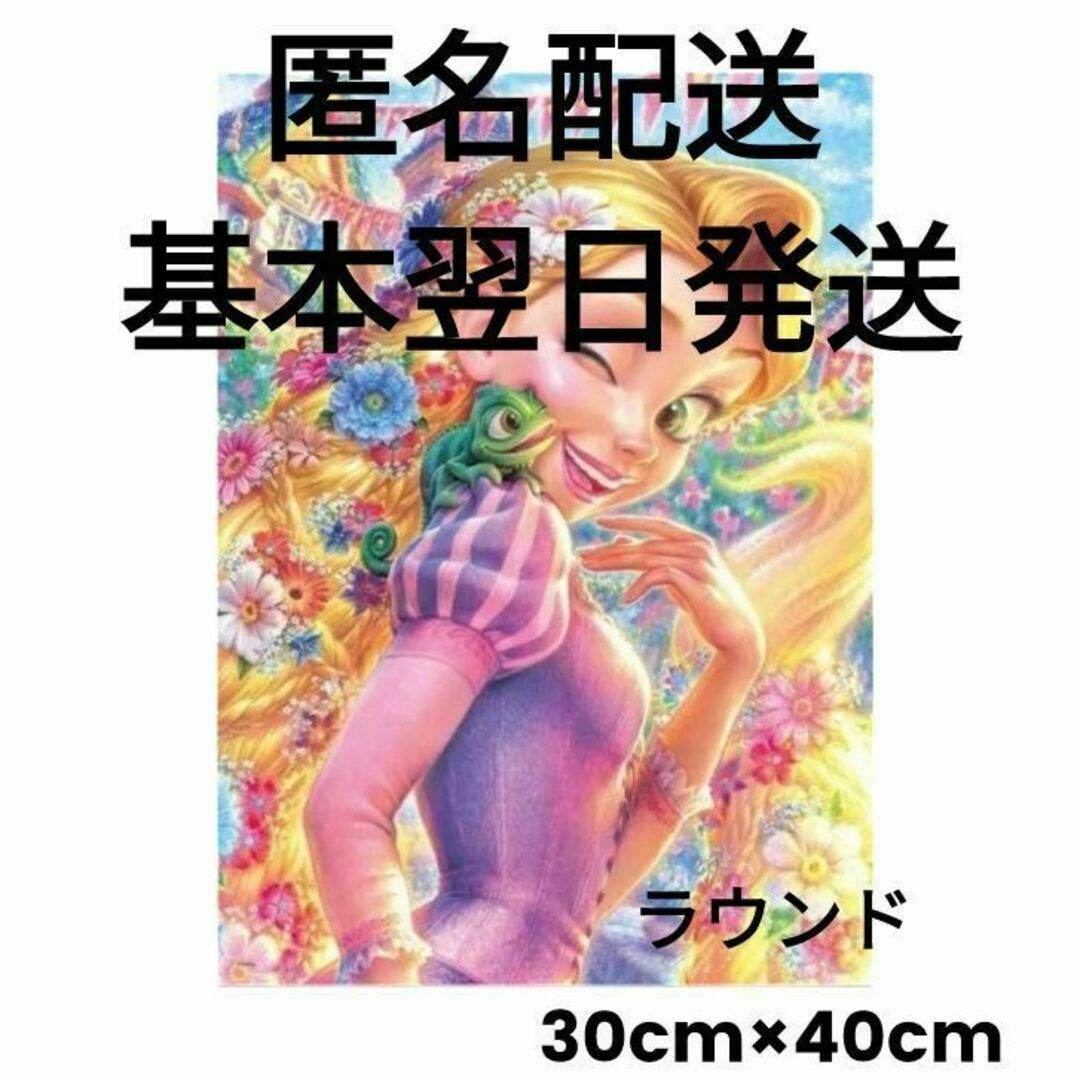 【在庫1】ダイヤモンドアート　ラプンツェル　ディズニー　プリンセス　基本翌日発送 ハンドメイドのインテリア/家具(アート/写真)の商品写真