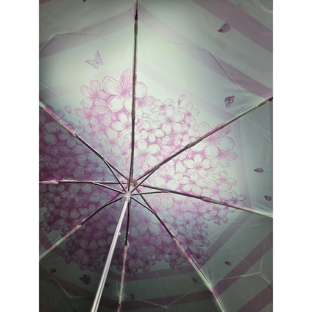 Starbucks(スターバックス)の韓国スタバ ★ さくら 折りたたみ傘 レディースのファッション小物(傘)の商品写真