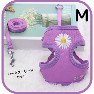 マーガレット刺繍ハーネスリードセット　パープル　Mサイズ　ペット用　犬用　猫用(リード/首輪)