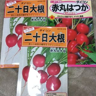 トーホク 赤丸 廿日大根 12ml他セット(その他)