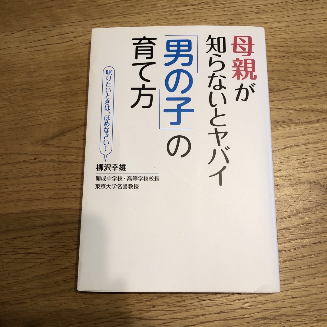 母親が知らないとヤバイ「男の子」の育て方 エンタメ/ホビーの雑誌(結婚/出産/子育て)の商品写真