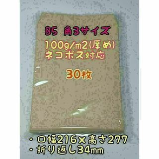 ネコポス対応 角3 B5サイズ30枚 厚め100g/㎡ 封筒 ポイント消化(アクアリウム)