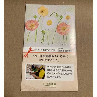 花の種(アイスランドポピー)(その他)