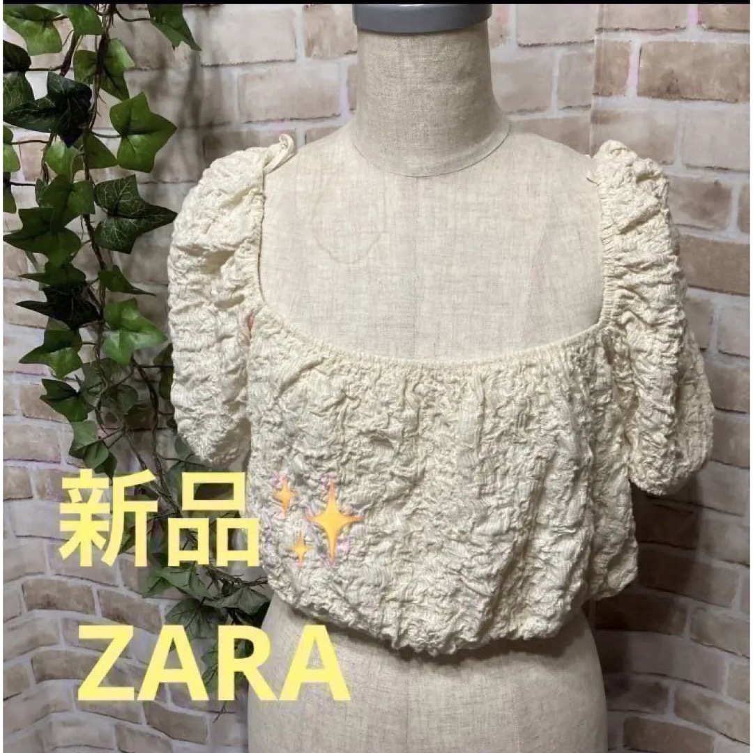 ZARA(ザラ)の感謝sale❤️740❤️新品✨ZARA⑤❤️ゆったり可愛いトップス　カットソー レディースのトップス(カットソー(半袖/袖なし))の商品写真