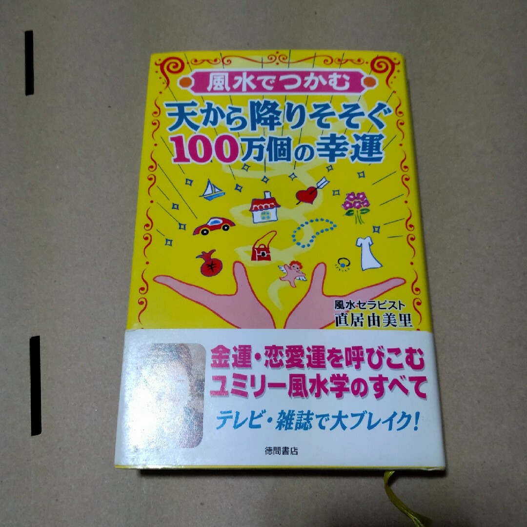 風水でつかむ天から降りそそぐ１００万個の幸運 エンタメ/ホビーの本(住まい/暮らし/子育て)の商品写真