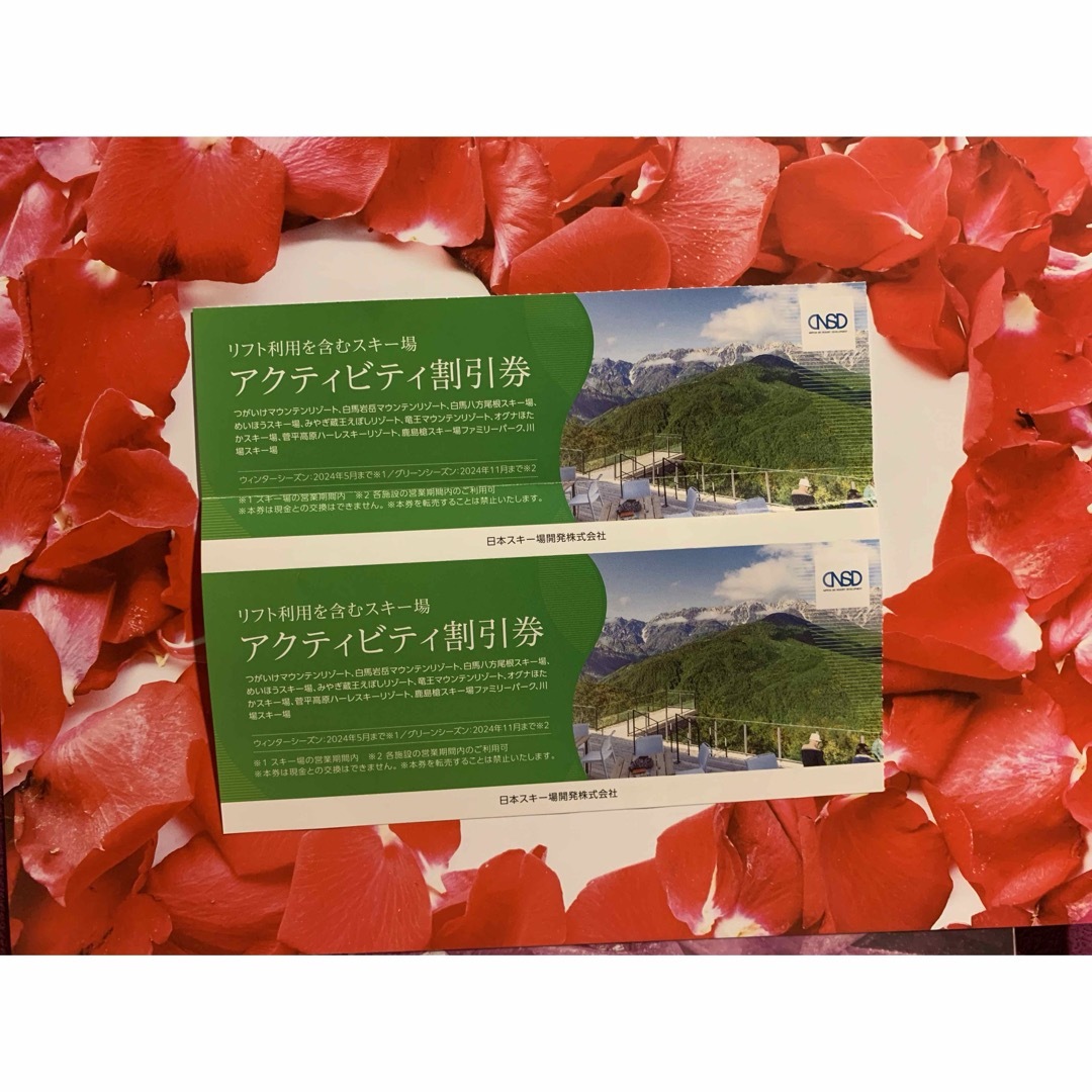 日本駐車場開発　株主優待　アクティビティ割引券 チケットの施設利用券(スキー場)の商品写真