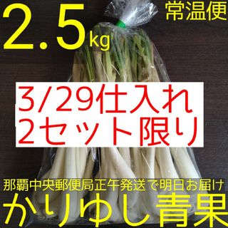 沖縄県産 島らっきょう約2.5kg【常温便無料】3/29(野菜)