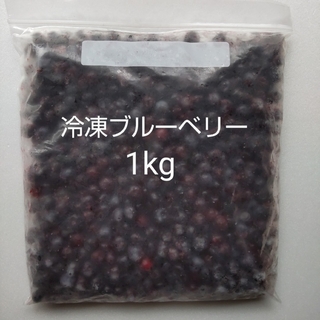 島根県産 冷凍 ブルーベリー 1kg 栽培期間中、農薬・化学肥料不使用(フルーツ)