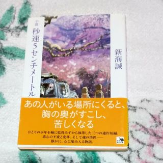 小説秒速５センチメ－トル(その他)